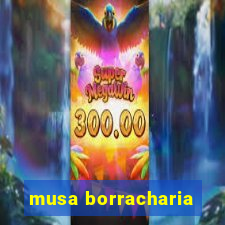 musa borracharia